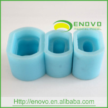 EN-G5 6Times silicium matériel en caoutchouc bleu unique dent permanent